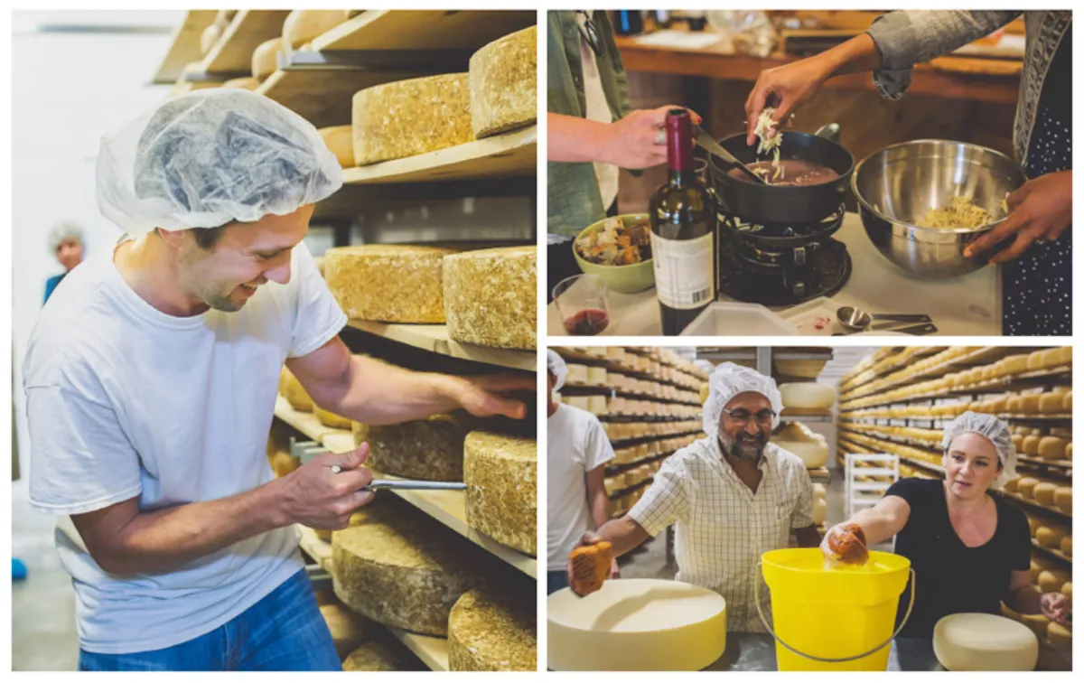 奶酪制作工艺 - 巨乳 的匠心传承